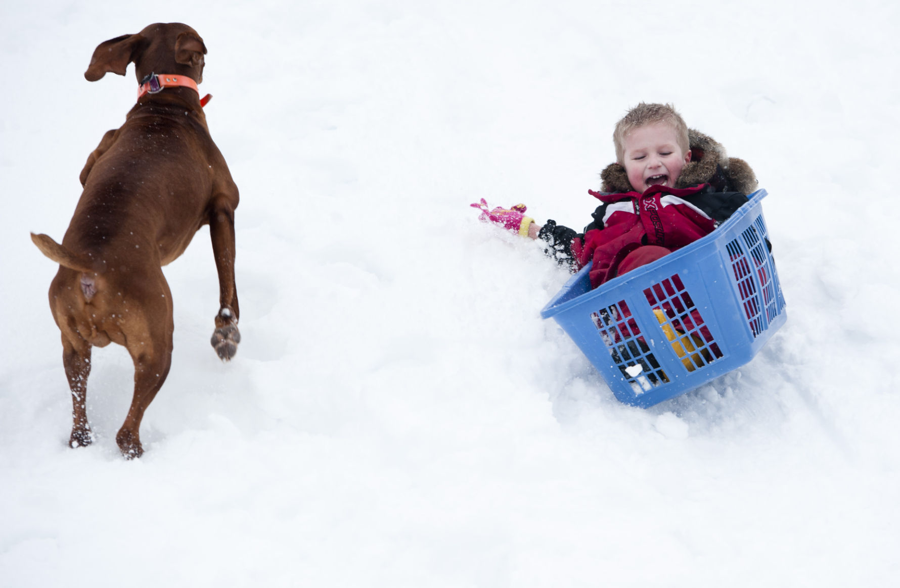 2014-02-13 Sledding